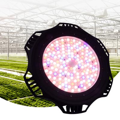 China Seed Starting High Quality Anticorrosive Aluminum Structure IP65 Commercial Horticulture 100W LED Full Spectrum Grow Light for sale