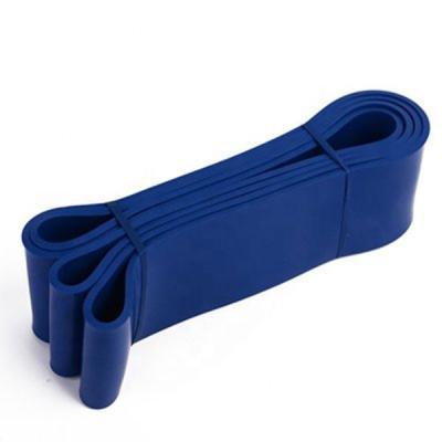 China High Quality Gym Fitness Elastic Pull Up Aid Band Resistance Loop Blue Resistance Band for sale