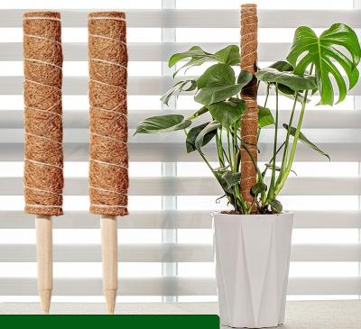 China Single Moss Stick Plant Pole For Growing Coir Totem Pole Plant Support Indoor Outdoor Potted Plants Grow Creeper Grow Up for sale