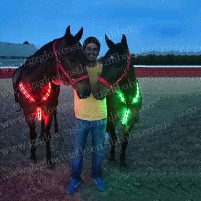 China Keep Safe Outdoor Horse Protective Device USB Rechargeable Flashing Led Harness for sale