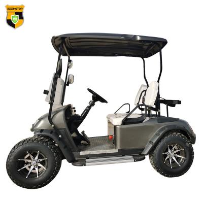 China Best various good quality promotional sale electric golf cart 2 seater club electric car golf 165-70-R13 for sale