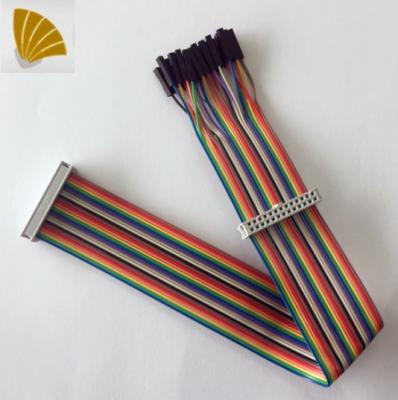 China Electronic ISO 9001 Displayed 2.54 Pitch Connector 26 Pin Dupont Jumper Wire Harness Flat Ribbon Cable Assembly for sale