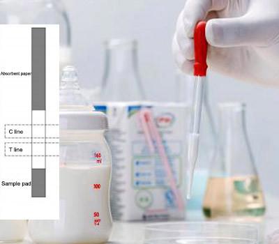 China 2-8 tiras de teste antibióticas de Quinolone do leite cru do ℃ do uso fácil da detecção à venda