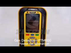 Ptm600-BIO Portable Gas Detector Landfill CO2 CH4 O2 H2s Co H2 Biogas Analyzer