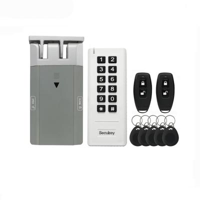 China Office Door Security D5-P DIY Lock Kit 315MHz Wireless Lock Kit 433MHz Rolling Code Wireless Remote Technology for sale