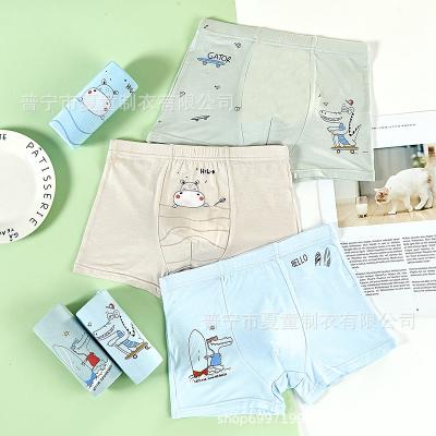 China Child Antibacterial Underwear Kids Boy Instructions Packaging Pictures for sale