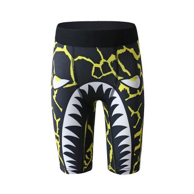 China Custom Breathable Cartoon Kids Underwear Boys Boxer Shorts Breathable Briefs for sale