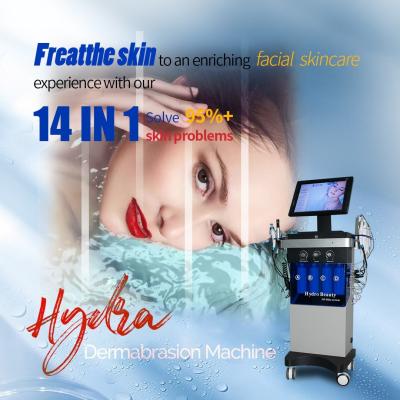 China Skincare 14-In-1 Hydra Beauty Water Jet Machine blackhead remover tool for sale