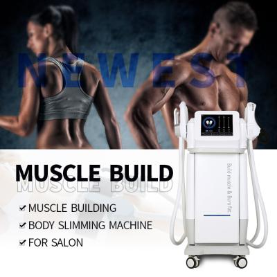 Chine muscle de 220v SME stimulant la machine mince ems sculpting de beauté non envahissant à vendre