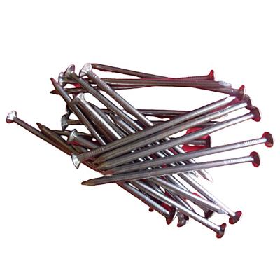 China Q195 /Q235 Flat Material High Quality Iron Wire Nails Cheap Price Steel Iron Wire Nails for sale