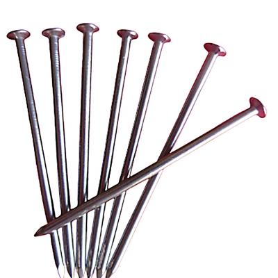 China Hebei SUN flat nail 2 inch common standard head wire nails building wire joint nail for sale