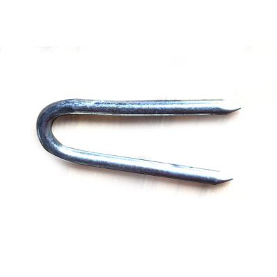 China China Hot Sale High Quality Flat Dipped Galvanized U Type Nails for sale