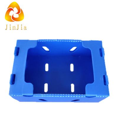 China Recyclable Tomato Box Vegetable Box Packaging Custom Logo for sale