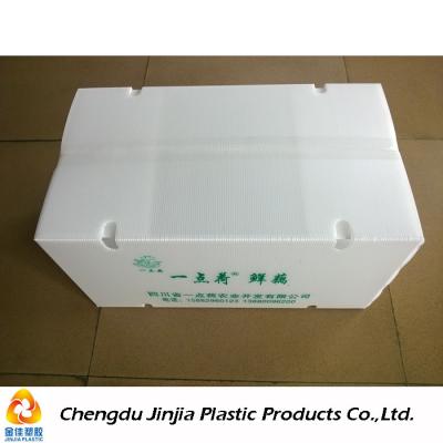 China Recyclable perforated collapsible/collapsible plastic boxes for transporting vegetables for sale