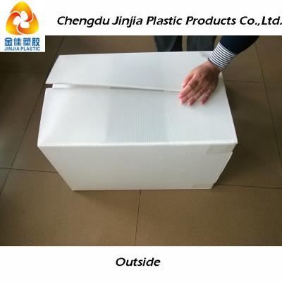 China Recyclable Folding Corrugated Plastic Boxes for sale