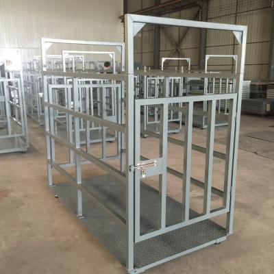 China To weigh pig KT animal barrier tcs electronic platform scale for sale