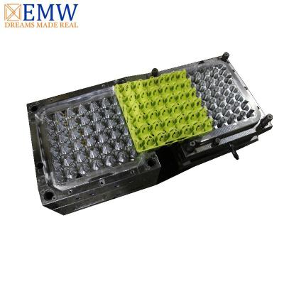 China Plastic injection mold egg tray plastic injection mold manufacturer in china for sale