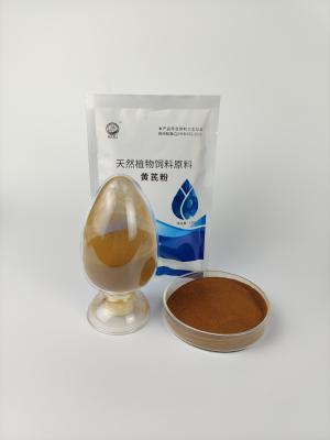 China 84687-43-4 Chinese Patent Medicines Astragalus Polysaccharides Solvent Extraction for sale