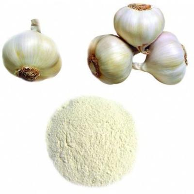 China Animal Feed Additives White Garlic Extract Powder 20% 25% Allicin Powder Extract For Aquaculture for sale