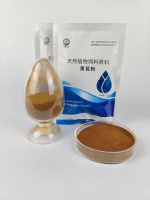 China Aparato gastrointestinal de las bacterias beneficiosas integrantes de la veterinaría del ganado del GMP en venta