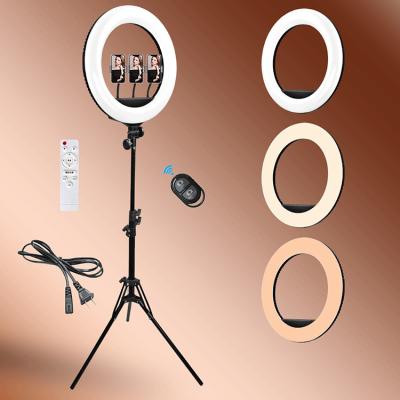 China JV458 PORTABLE Selfie Tripod With Selfie Light Led Instant Ring Selfie Ring Light Light For Phone Camera for sale