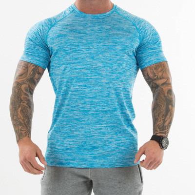 China Plus Size 95%Polyester 5%Spandex Wholesale Quick Dry Fitness Gym Fitness T-Shirt For Men for sale