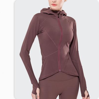 China Breathable Sporty Wear Ladies Zipper Sporty Women's Long Sleeve Sportswear Jacket For Women for sale