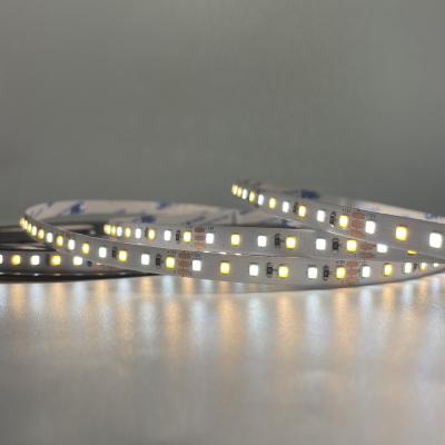 China Flexible Led LANDSCAPE Strip Lights Factory Direct LED Strip With Double Color WW/CW 120led/m 12v 8mm Width PCB Factory Price for sale