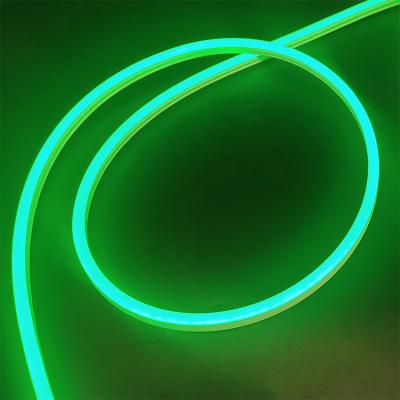 China LANDSCAPE Wholesale 8*13mm Flexible Neon Light For Decoration for sale