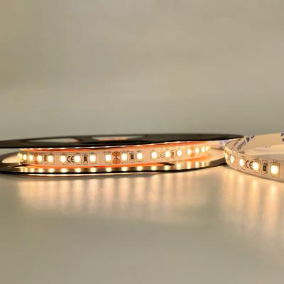 China LANDSCAPE 2835 led strip light, RA90, 8mm width, 120 led/m, DC 24V, cheap led strip light for sale