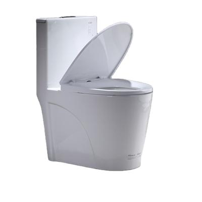 China Modern Stylish One Piece Toilet Spray Design Toilet ZBQ for sale