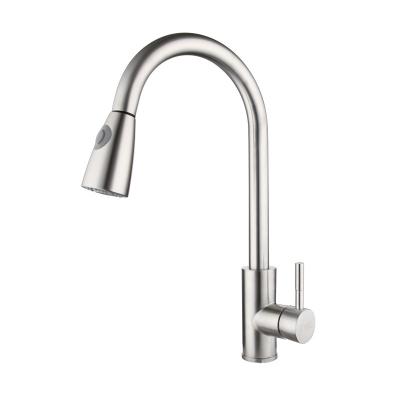 China Thermostatic Faucets Single Knob Spout Lavatory Kitchen Faucet Sink Pull-Down Faucet CFLT for sale