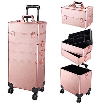 China Lady Aluminum Professional Makeup Trolley Case Beauty Case For Girls for sale