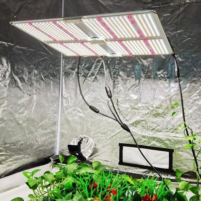 China Seed Starting Full Spectrum 450w 600w Quantum Dish Led To Grow Light For Medicinal Plants for sale