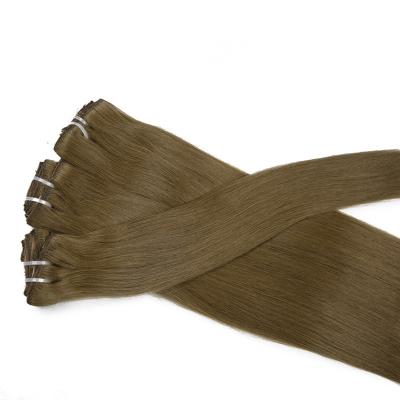 China Straight Hot Trend Products AmourHairs Seamless Hair Clip In Hair Extension for sale