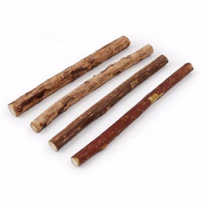 China Natural Viable Silvervine Matatabi Chew Sticks from Cat Teeth Cleaning Catnip Toys Factory for Cat Kitty for sale