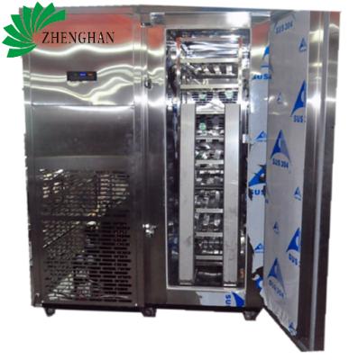 China Stainless steel or painting steel refrigeration machine commercial beef chicken shrimp meat fish forced air freezer for sale