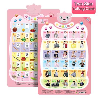 China Educational Toy Learning Family Members Wall 3D Poster Embossed Bilateral PVC Learning Diagram for sale