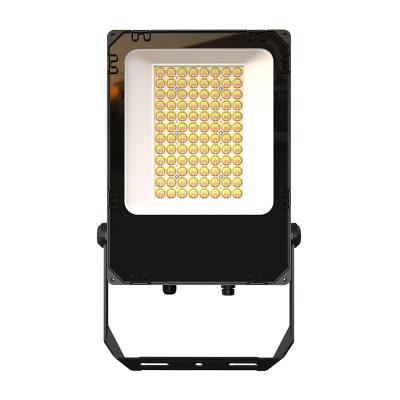 China 100W 150W CCT IP66 IK08 CCT IP66 IK08 60 Degree Smart Left Adjustable Netting Outdoor / Indoor Aluminum Die Cast Floodlight for sale