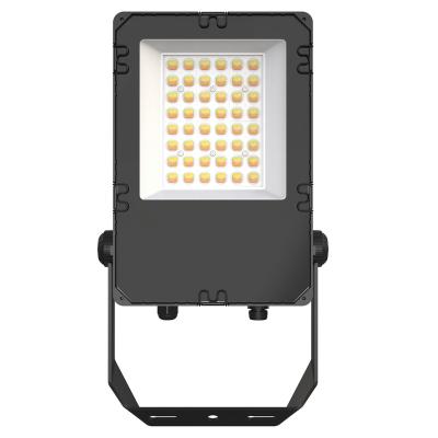 China OEM 30W 50W 70W 60 Degree IP66 IK08 Factory Manufacture Factory Manufacture Outdoor/Indoor Aluminum Die-Cast Floodlight 30W 50W 70W 60 HTA Led for sale