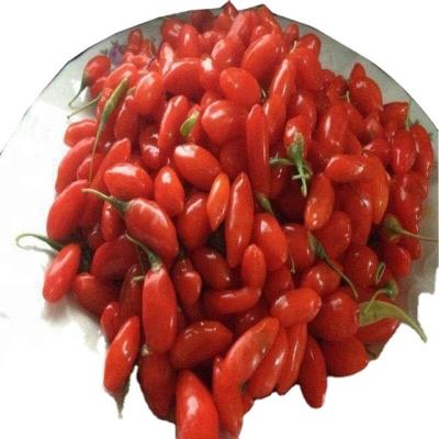 China Dried Health products dried fruit red wolfberry goji berry gojiberry price for sale