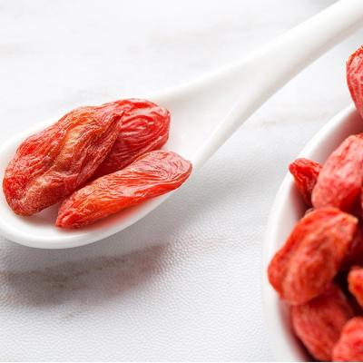 China Dried 2022 new arrival Chinese wolfberry dried ningxia red goji berry fruit for herbal tea for sale