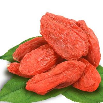 China Dried Plantation Directly Supplied Healty Food Dried Fruit Chinese Wolfberry Antioxidant 100% Organic Red Goji Berry for sale