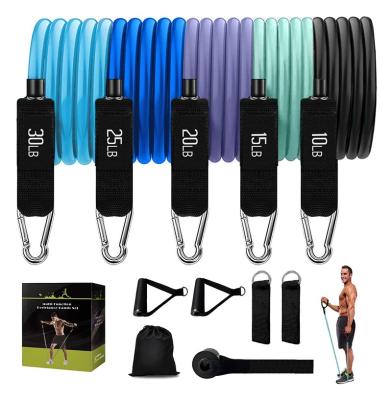 China Modern Bargain Price Gym Resistance Exercise Bands With Handles for sale