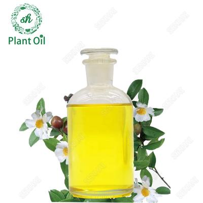 China Natural Skin Revitalizer Chinese Supplier Factory Extracted Cooking Oil Carrier Oil Cold Pressed Edible Camellia Oil For Hair Care for sale