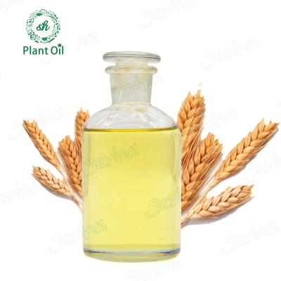 China Natural Plant Vitamin E Wheatgrem Essential Oil Wheat Germ Oil For Prolong Essential Oil Shipping And Handling - WH-03 for sale