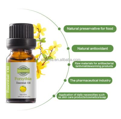 China Top Pure Natural Forsythia Massage Oil Plant Extract Aromatherapy Grade Essential Oil With Good Price for sale