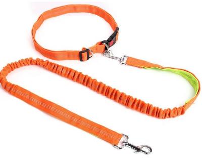 China Durable High Quality Custom Retractable Bungee Hands Dog Training Leash with Adjustable Waist Belt and Two Hooks for sale