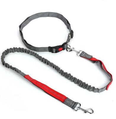 China Thoughtful Hands Free Running Dog Bungee Leash For Pet for sale