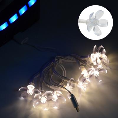 China Home Camera Party Decoration Flower Garden Flower LED Lights With USB Charging for sale